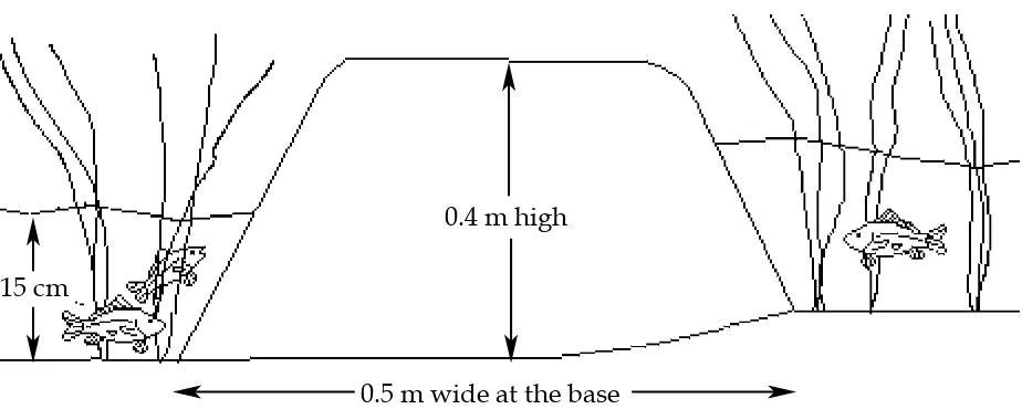 Figure 3: Dike measurements.