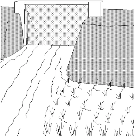 Figure 4: Screens are placed across paddy inlet and outlet areas. 