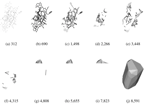Fig. 2.18. Gramicidin A, a protein, modeled as a ﬁltration of 8,591 αdata set-complexes of 1grm in Section 12.1