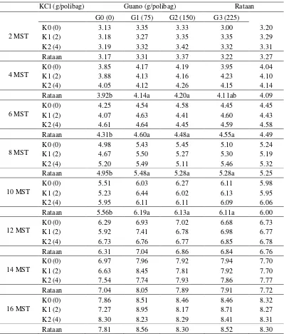 Tabel 5.  Diameter  batang  bibit  kakao 2-16 MST (mm) pada pemberian pupuk guano dan KCl (g)