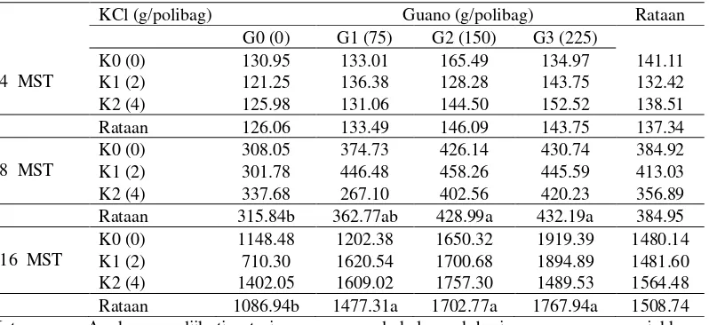 Tabel 7. Total luas daun bibit kakao 4, 8 dan 16 MST (cm2) pada pemberian pupuk guano dan KCl (g)