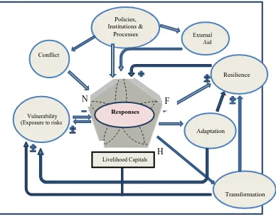 Figure 1. Conceptual framework of livelihood recovery process and outcomes 