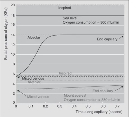 Figure 1.5  Calculated time course for change in partial pressure of oxygen in the  pulmonary capillary