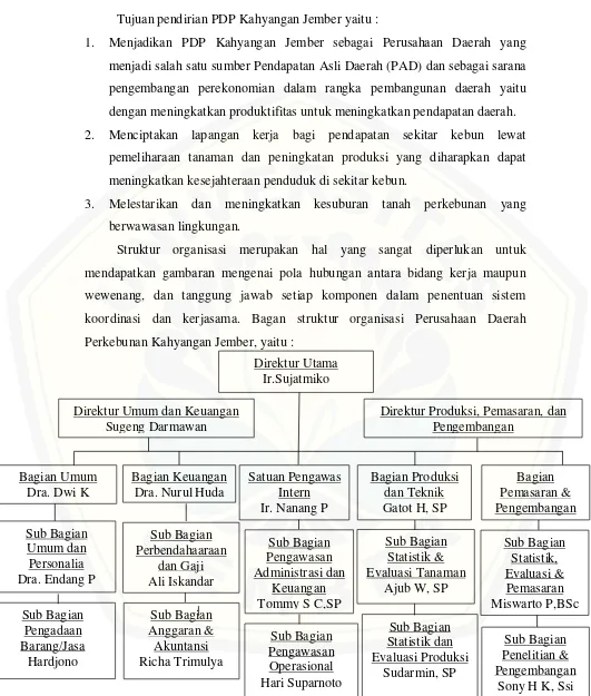 Gambar 4.1 Struktur Organisasi PDP Kahyangan Jember 