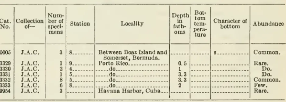 Paper 128-B, 1920, p. 72, pi. 11, fig. 22; Publ. 344, Carnegie Instit.