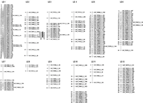 Figure 1 . total coverage, constructed by JoinMap 3.0, LOD 6.0-10.0. The side bars indicate the locations of the QTLs for anthracnose resistanceTwo major QTLs corresponding to the resistances to anthracnose in mature green and ripe fruit, were  A SNP map o