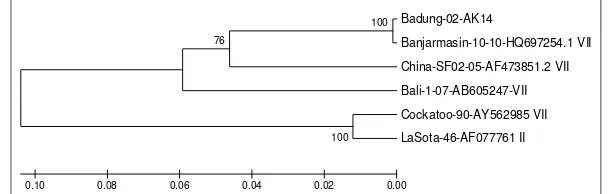 Figure 1. Phylogenetic tree of NDV based on partial sequences of the NP gene from position 1088 to 1560 (473 bps)