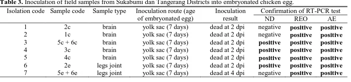 Table 3.Risza Hartawan and Ni Luh Putu Indi Dharmayanti   Inoculation of field samples from Sukabumi dan Tangerang Districts into embryonated chicken egg