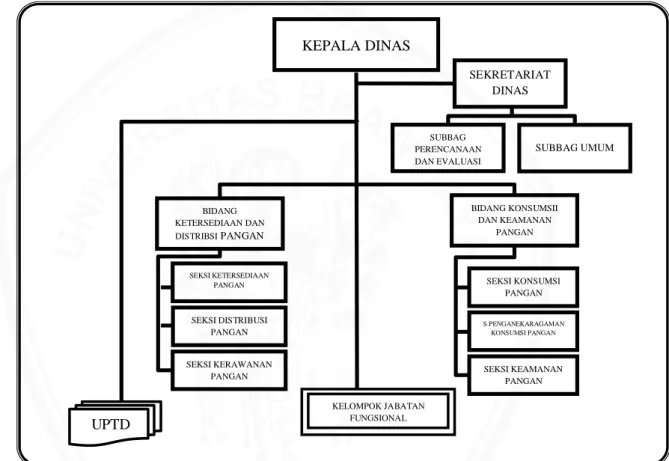 Gambar  5:  Bagan  Struktur  Organisasi  Dinas  Ketahanan  Pangan  Kota Batu (Tipe C) 