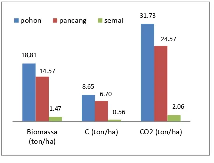 Tabel 1. Kekayaan jenis dan potensi vegetasi mangrove yang ditemui di kawasan pesisr Kota Banda Aceh  