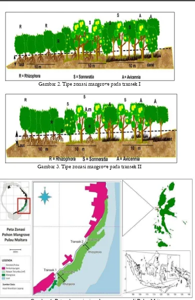 Gambar 4. Peta sebaran jenis pohon mangrove di Pulau Maitara 