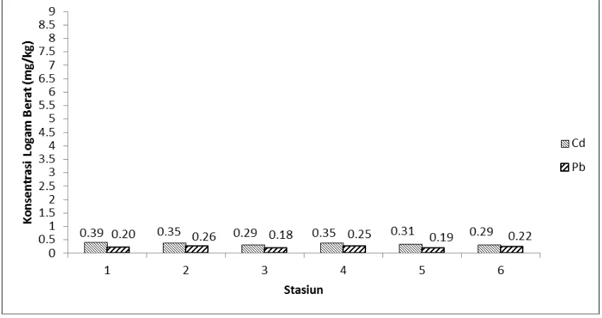 Gambar 4. Grafik hasil pengukuran logam berat Cd dan Pb di air laut 