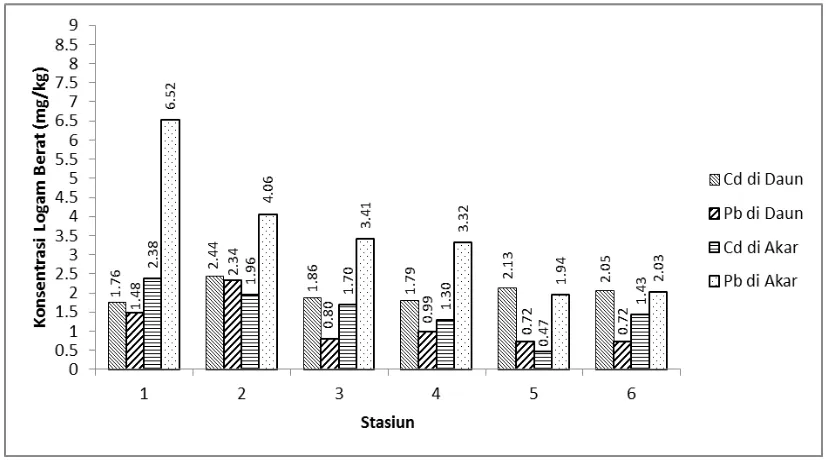 Gambar 6. Grafik hasil pengukuran logam berat Cd dan Pb di Lamun 