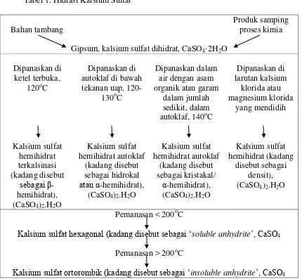 Tabel 1. Hidrasi Kalsium Sulfat6,13 