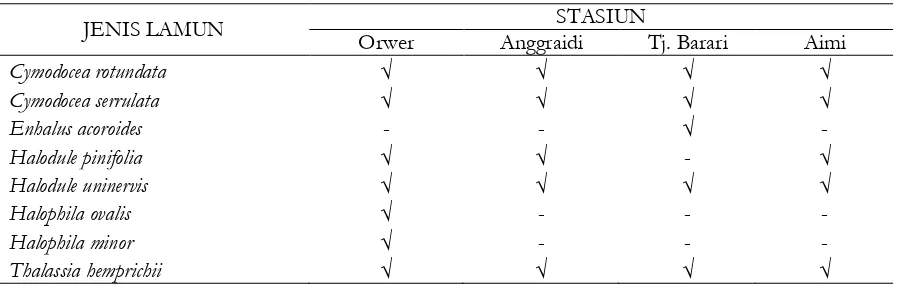 Tabel 2. Distribusi lamun di Pulau Biak 
