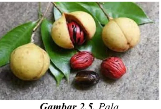Gambar 2.5. Pala