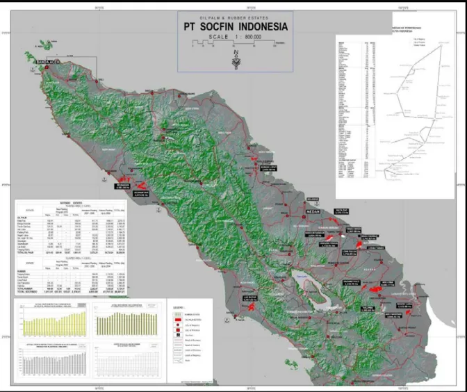 Figure 1. Location Map of PT Socfin Indonesia 