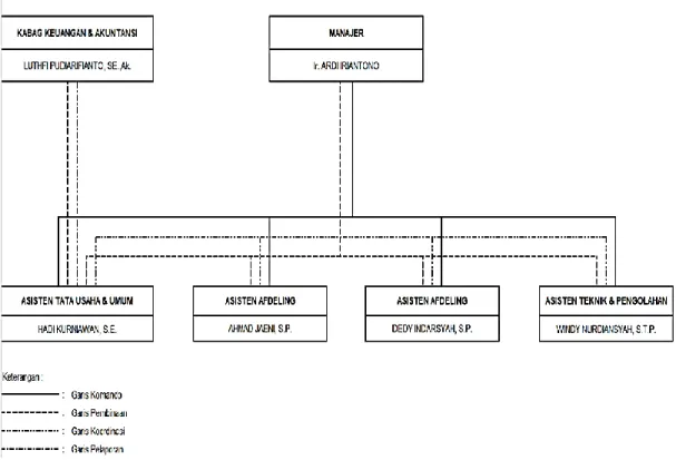 Gambar 1. Struktur Organisasi PT. Perkebunan Nusantara XII Kebun  Bangelan 