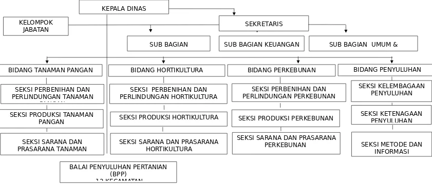 Gambar 1.   Struktur Organisasi Dinas Pertanian  Kabupaten Enrekang