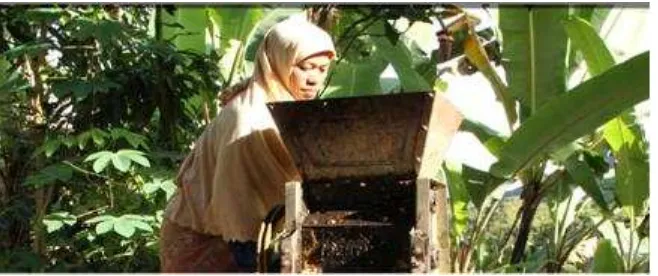 Gambar. 9. Petani wanita desa Bone-Bone menggunakan pulper mekanis 