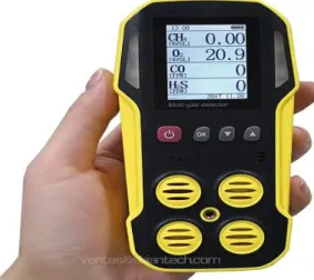 Gambar 2.7 Gas Detector Portable 