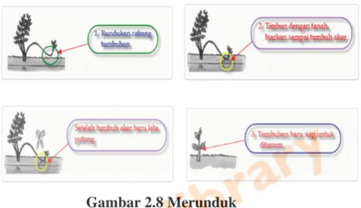Gambar 2.8 Merunduk 