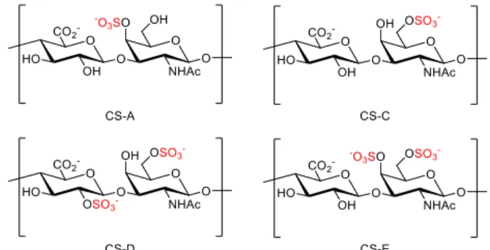 Figure 1.2. Structures of the four major sulfation pattern of CS.  