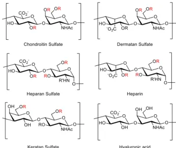 Figure 1.1. Structures of the five GAG families.  