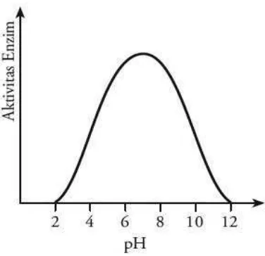 Gambar 2.3 Pengaruh pH Terhadap Sifat Katalitik Enzim 