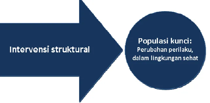 Gambar 1. Intervensi Struktural untuk Perubahan Perilaku Populasi Kunci 