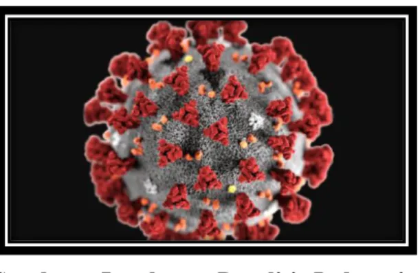 Ilustrasi Virus 