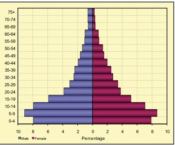 Figure 3.1 Population, by age and sex (in percentages) 