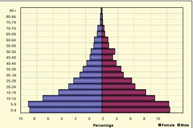 Figure 3.1 Population, by age and sex (in percentages)