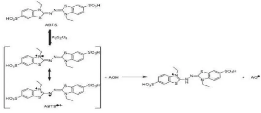 Gambar 2. Struktur ABTS (2,2’ –aziobis (3-ethylbenzthiazoline-6-sulfonic) (Prior dkk., 2005).