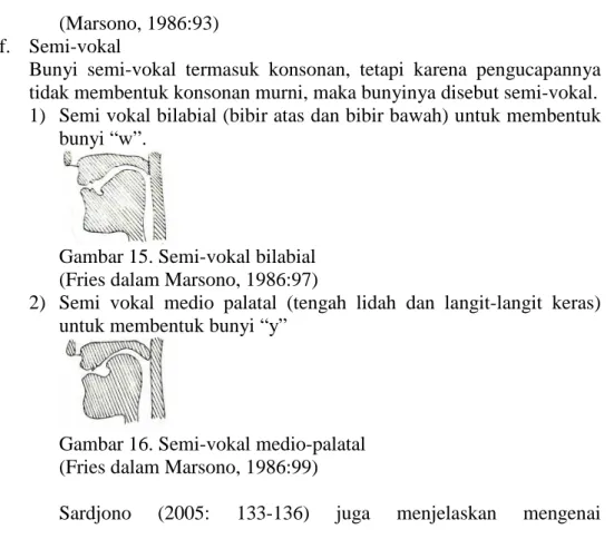 Gambar 15. Semi-vokal bilabial (Fries dalam Marsono, 1986:97)