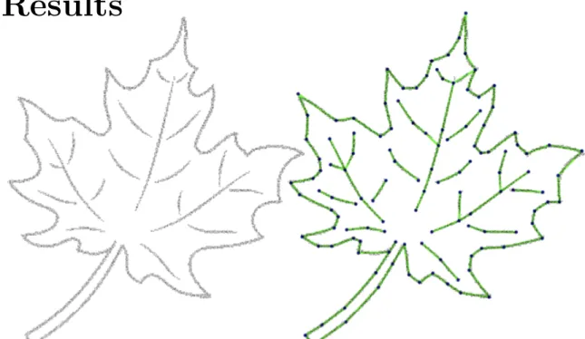 Figure 4.1: Leaf. Example with sharp corners, boundaries, and branching points.