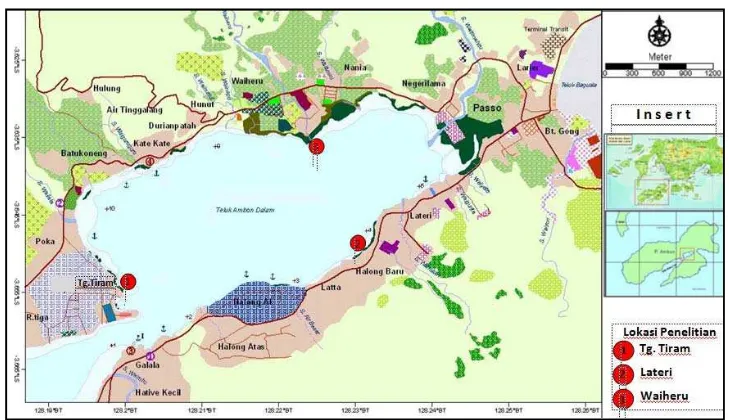 Gambar  1. Peta lokasi penelitian pada ekosistem padang lamun yang berbeda di perairan Teluk Ambon Dalam