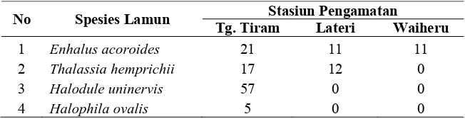 Tabel 1. Kerapatan vegetasi lamun (ind/m2) pada ketiga lokasi penelitian 