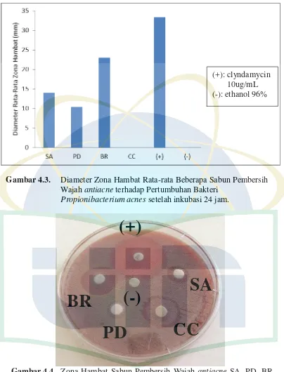 Gambar 4.4  Zona Hambat Sabun Pembersih Wajah antiacne SA, PD, BR, , Kontrol (-) Ethanol 96% dan Kontrol (+) Clyndamycin 10ug/mL terhadap Pertumbuhan Bakteri Propionibacterium acnes setelah inkubasi 24 jam