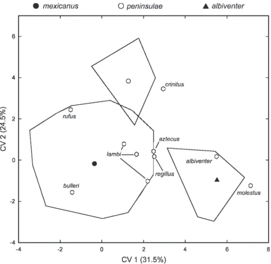 Fig. 6. Dispersion of type specimens of Oryzomys named from western Mexico based on a posteriori classification using discriminant coefficients extracted from 10-group discriminant function analysis of albiventer, couesi mexicanus, and peninsulae