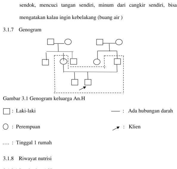Gambar 3.1 Genogram keluarga An.H 