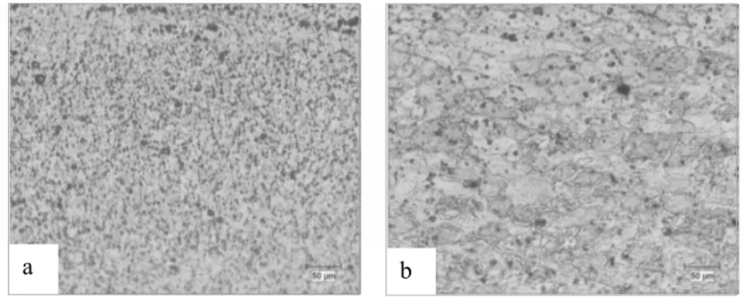 Gambar 3.12 Struktur mikro dari TMAZ (a) AA 5052 (b) AA 6061  (Rajkumar, 2014) 