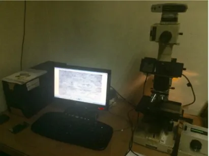 Gambar 4.9 Mikroskop optik dengan Optilab view 
