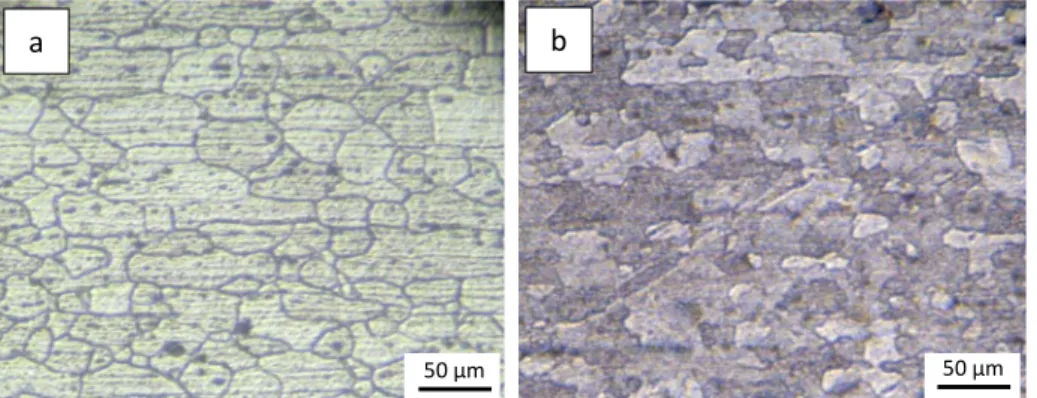Gambar 5.10 Struktur mikro logam induk (a) AA 6061-T6 dan (b) AA 5083-H116 