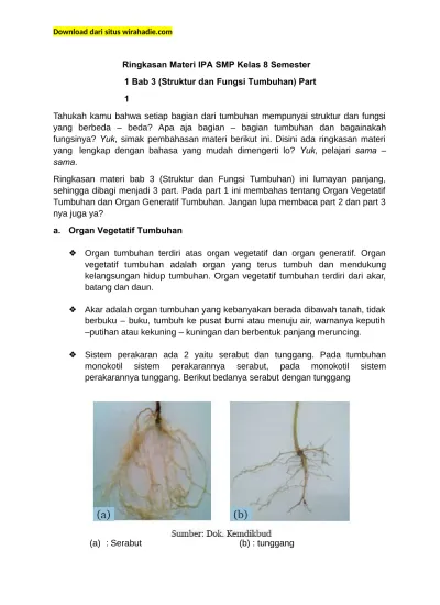 Ringkasan Materi IPA SMP Kelas 8 Semester 1 Bab 3 (Struktur Dan Fungsi ...