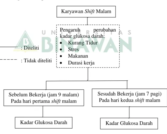Gambar 2. Kerangka Konsep Karyawan Shift Malam 