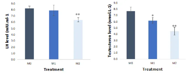 Figure 1. LH and Testosterone Level in Rats Serum     