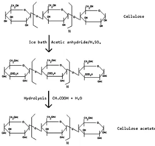 Gambar 2.4 Reaksi Sintesis Selulosa Asetat (http://Wikipedia, diunduh  Desember 2010)  