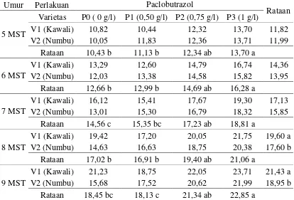 Tabel 3. Diameter  batang (mm)  terhadap  pemberian  paclobutrazol  pada umur                         5-9 MST 