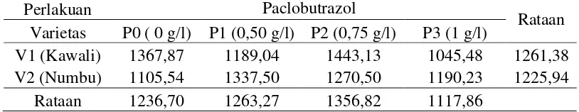 Tabel 10. Berat  biji  malai  per  plot  (g)  terhadap  pemberian  paclobutrazol   dan                    varietas 